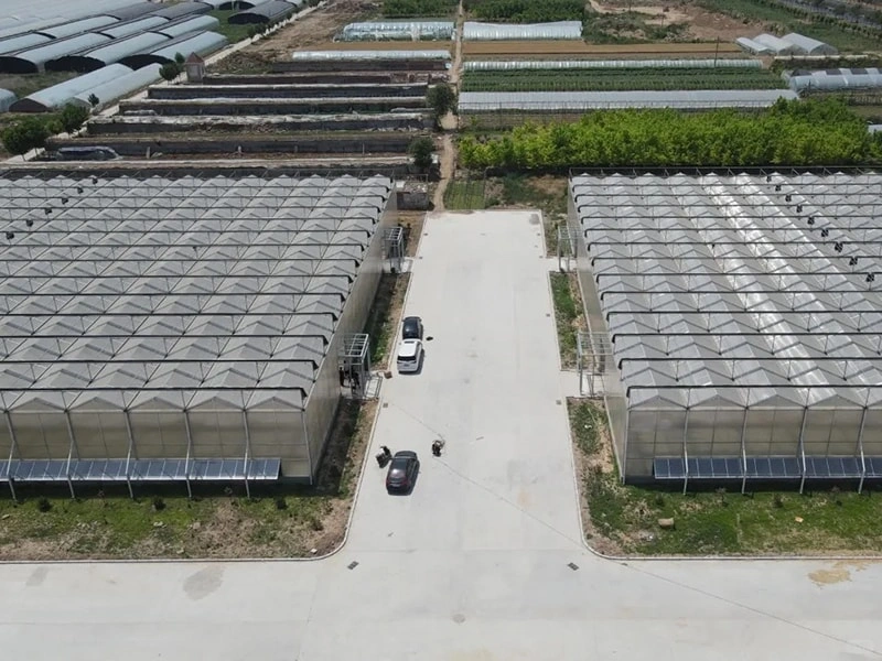 Large Glass Greenhouse: A Modern Solution for Sustainable Agriculture  