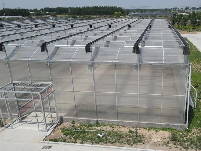 Revolutionizing Modern Agriculture: PC Sheet Greenhouse