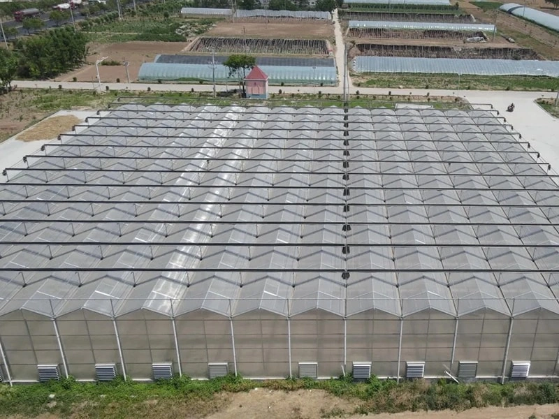 Revolutionizing Modern Agriculture: PC Sheet Greenhouse