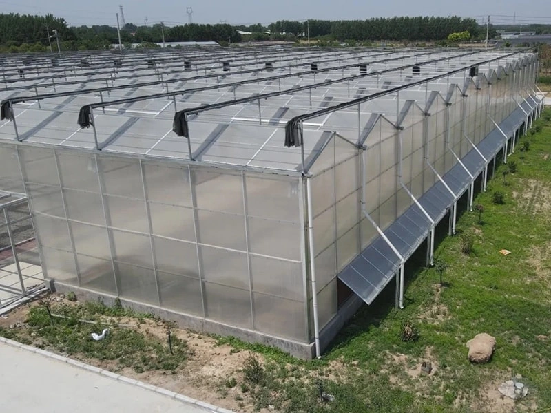 Choosing the Right Plastic Film for Greenhouse Construction