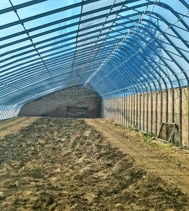 Anthony from UAE to Visit Next Week for 10,000㎡ Venlo Glass Greenhouse Project Featuring Shrimp & Vegetable Farming