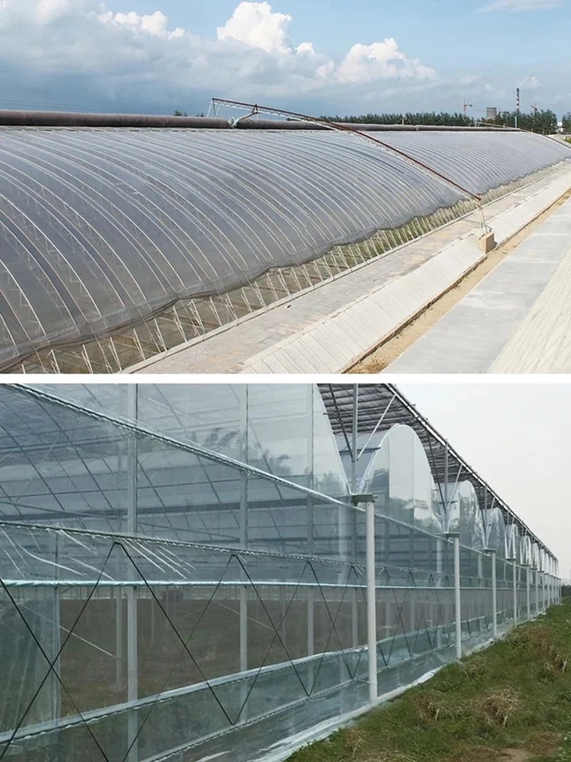 Smart Glass Greenhouse Manufacturers Lead the Future of Eco-Friendly Agriculture