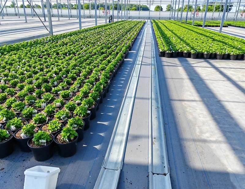 Essential Greenhouse Accessories and Their Functions