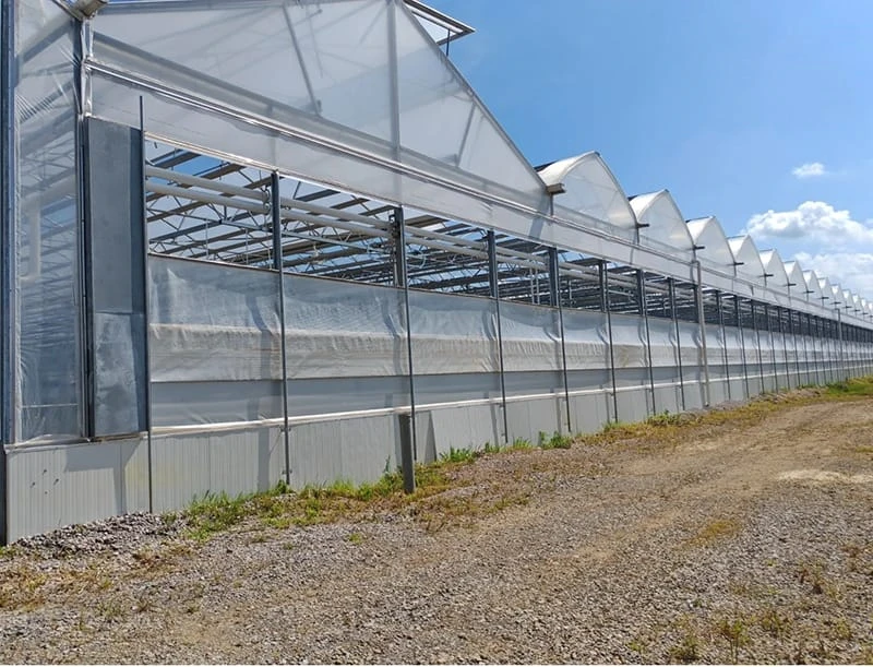 Greenhouse Insulation Blanket Selection Guide