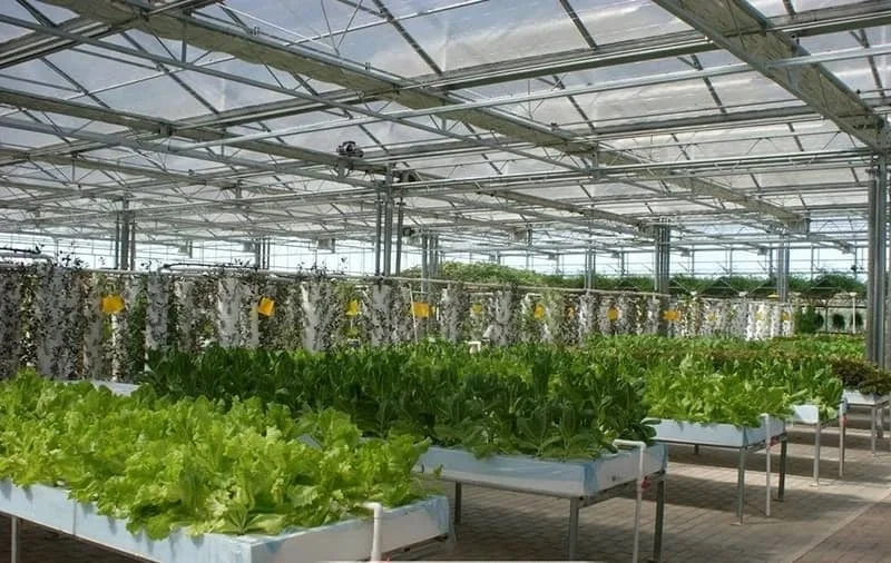 Saudi Agriculture Exhibition: The Premier Agri-Tech Event in the Middle East & North Africa