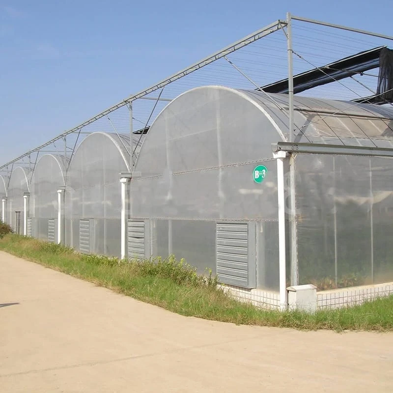 Modern Greenhouse Contractor: Revolutionizing Agriculture with Smart & Sustainable Solutions