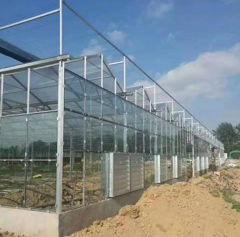 Architectural Glasshouses vs. Commercial Greenhouses: Key Differences 