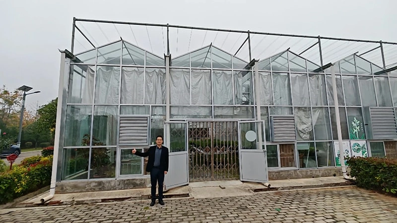 Ruineng Greenhouse Solutions