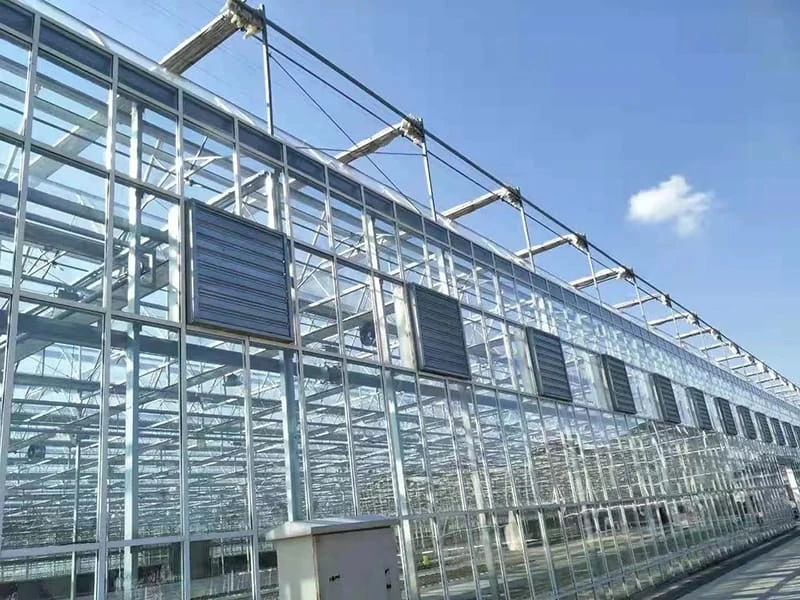 Commercial Greenhouses: Premium Solutions for Sustainable Farming