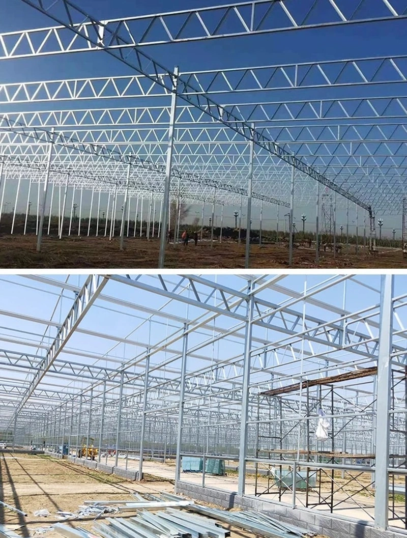Choosing the Right Greenhouse Design for Maximum Efficiency