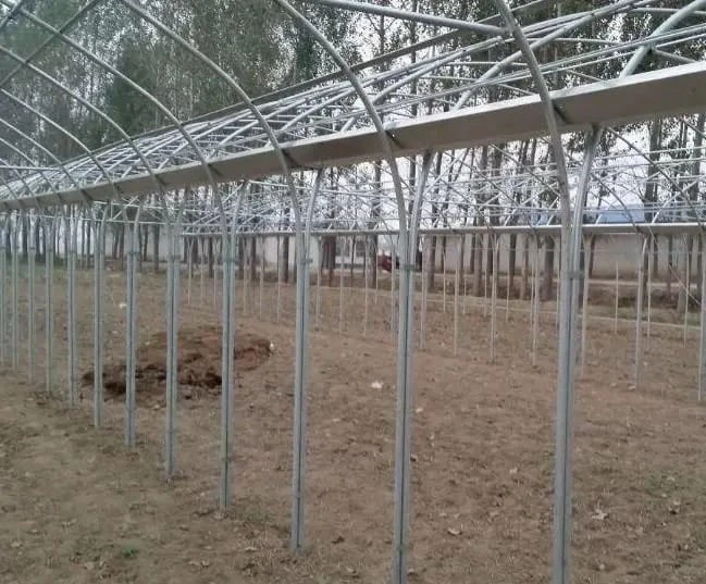 Unlock Agricultural Potential with Shandong Ruineng Century Agricultural Development Co., Ltd: Your Trusted Partner in Commercial Greenhouse Solutions