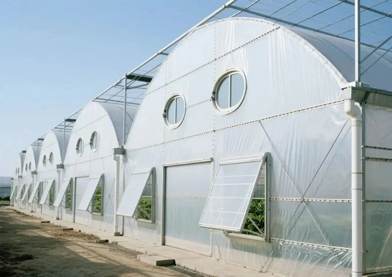 Build Profitable Greenhouses 