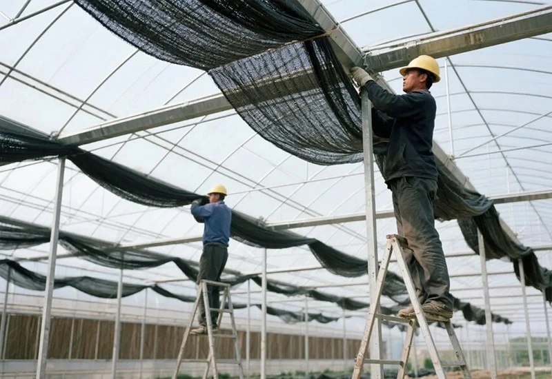 Greenhouse Cooling Guide: Proven, Low-Cost Solutions to Beat the Heat