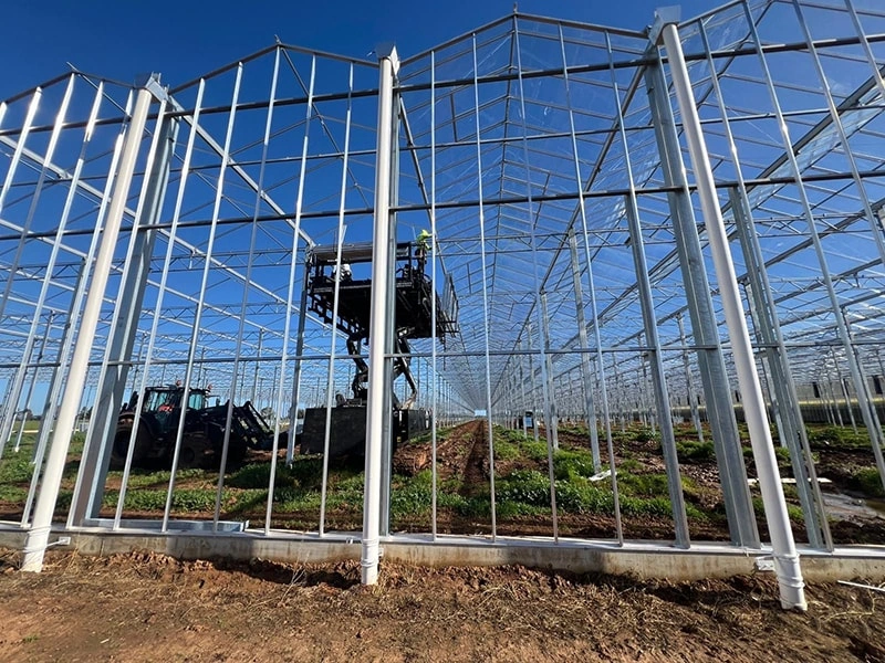 LONGXING Garden Greenhouse Suppliers – Premium Greenhouses for Australia and New Zealand
