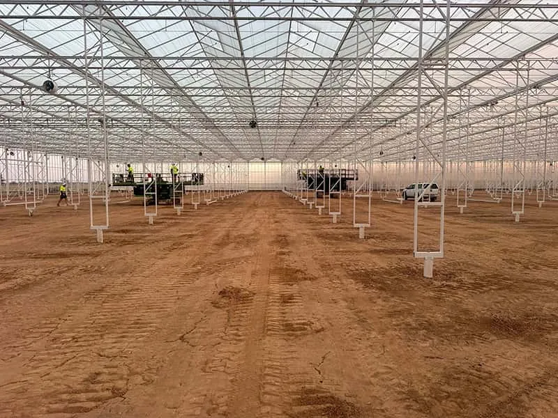 Multi-Span Glass Greenhouse   Key Strengths & Technical Highlights