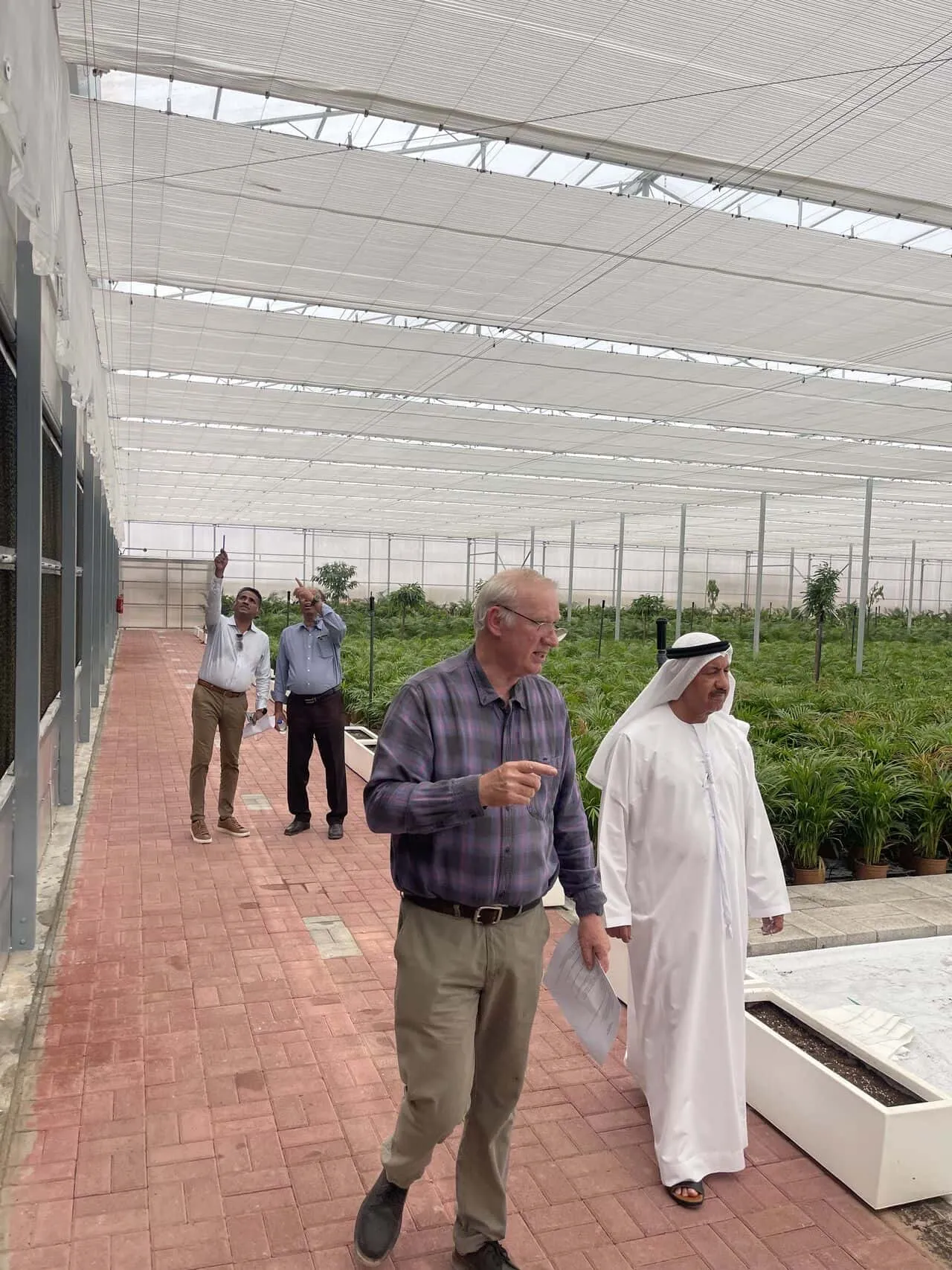When searching for a commercial greenhouse for sale