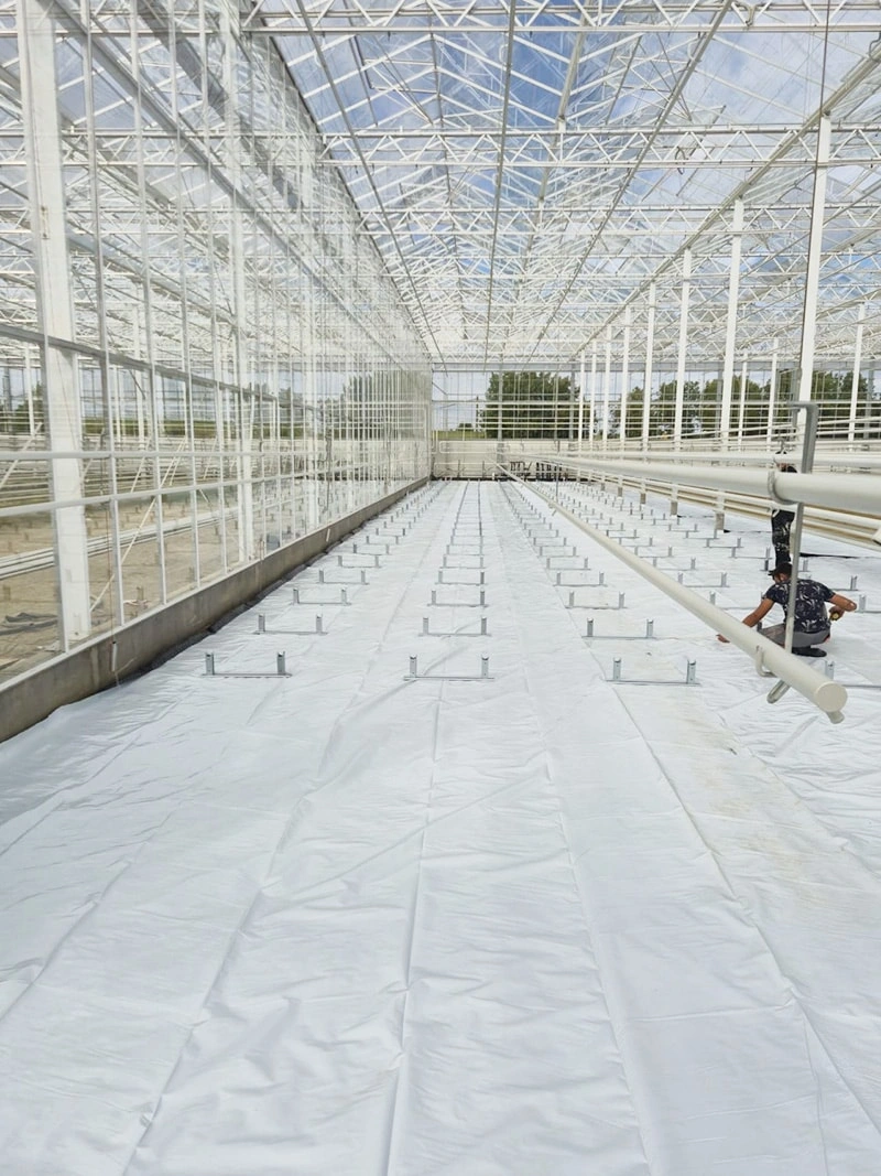 Modern Agriculture in Action: 2000m² Bulgaria Glass Greenhouse Project Nears Completion