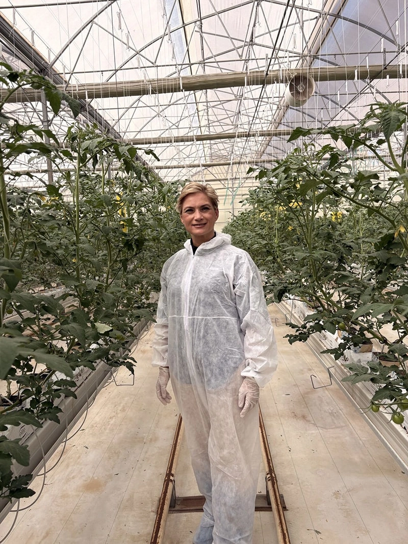 Balancing Commercial Glass Greenhouse Cost with Quality: A Look at the Bom Group Project