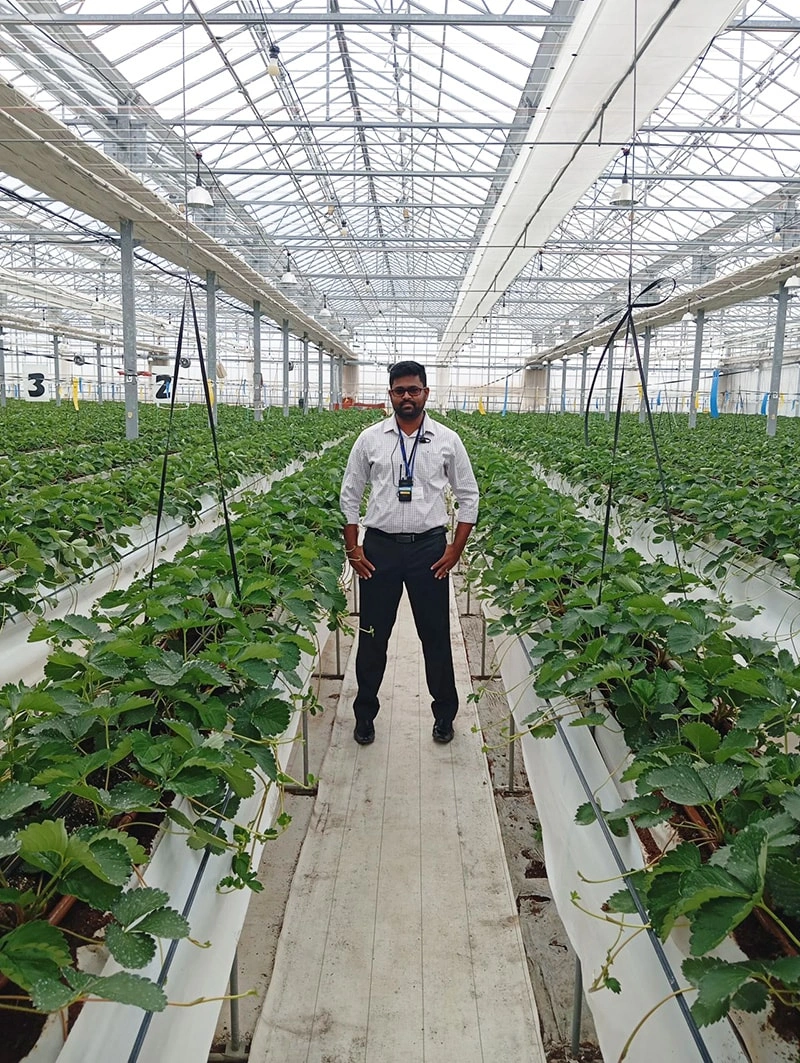 Integrating Hydroponic Greenhouse Systems into Community Spaces: A 44x100 Tradition Meets Modern Innovation