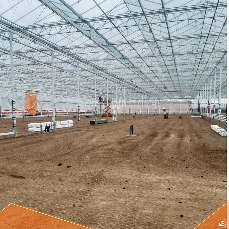 Ruineng Greenhouse Equipment Group to Deliver Major 16,000 m² Greenhouse Project for Potted Rose Cultivation in the Netherlands