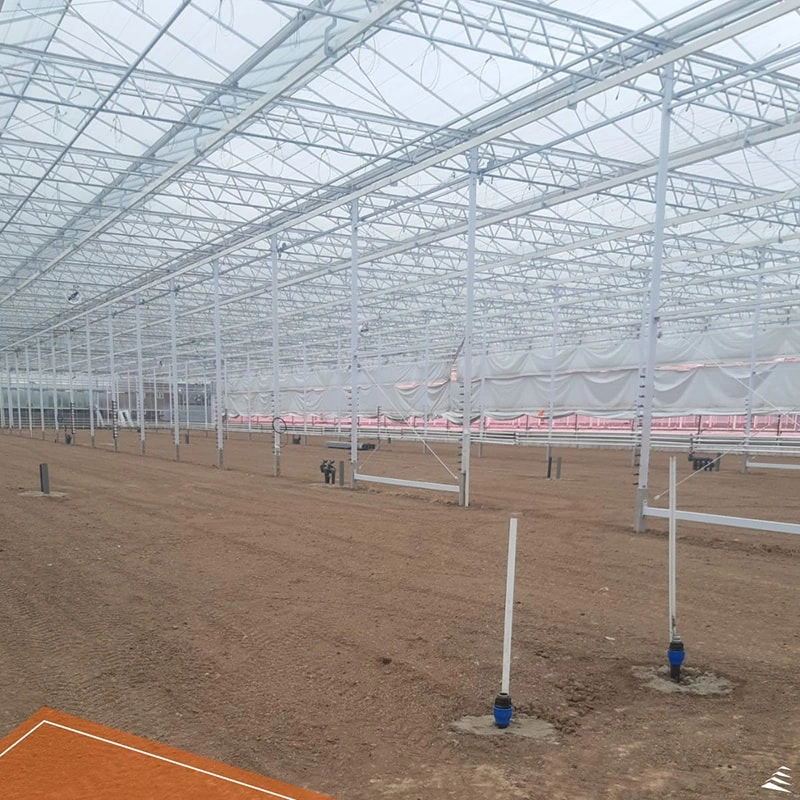 Ruineng Greenhouse's participation in the Tokyo GARDEX Exhibition: