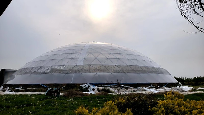 Another Milestone in the UAE: Ruineng Greenhouse Celebrates Progress on New 3-Hectare Project