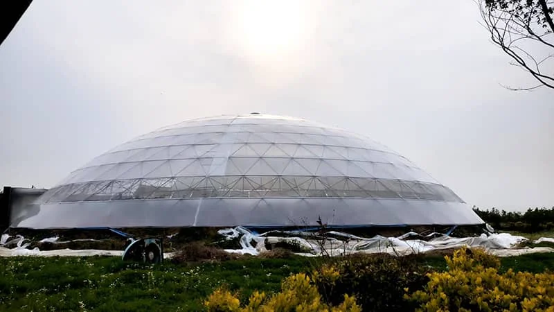 Commercial Greenhouses: A New Era of Agricultural Infrastructure in Hungary