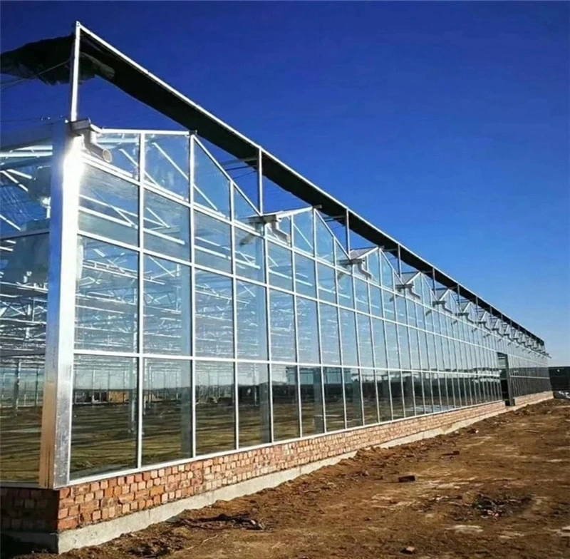 Of the many decisions facing the gardener or commercial grower, the choice of materials for a greenhouse frame and covering is perhaps the most fundamental.
