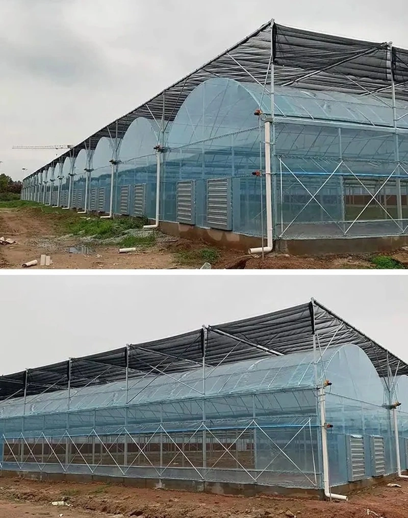 In the context of protected agriculture within greenhouses