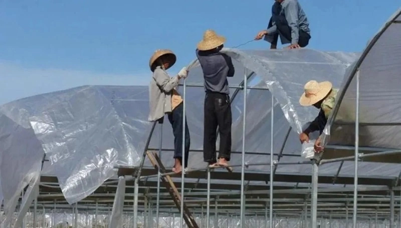 Greenhouse films play a pivotal role in modern agriculture