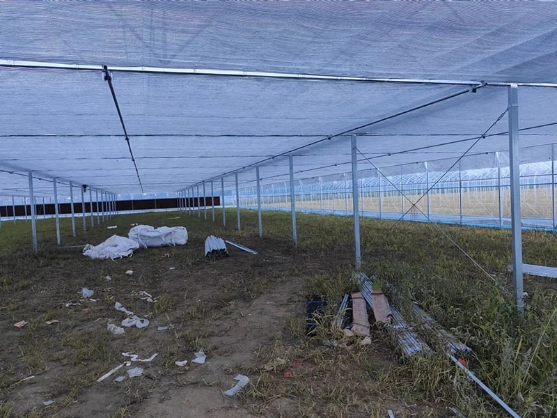 Multi-Span Film Greenhouses: Innovative Applications in Modern Agriculture