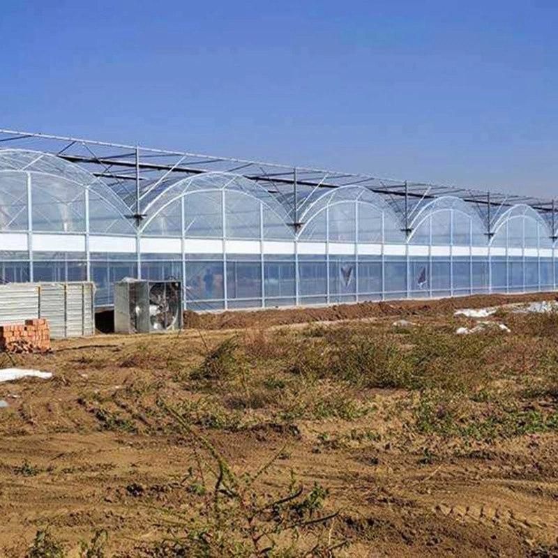 Intelligent Agricultural Greenhouses